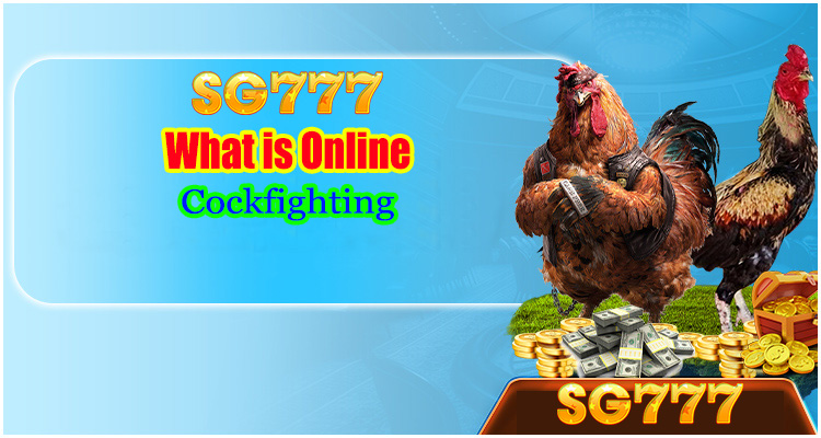 What is Online Cockfighting