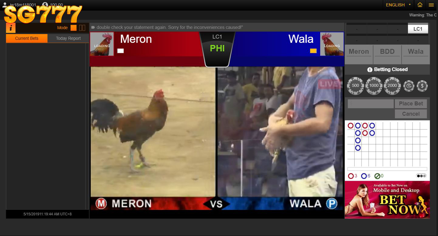 What Happens In An Online Cockfighting Fight?